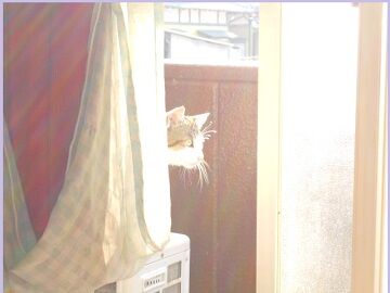 5月23日（35）仮