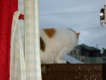 7月21日（24）仮