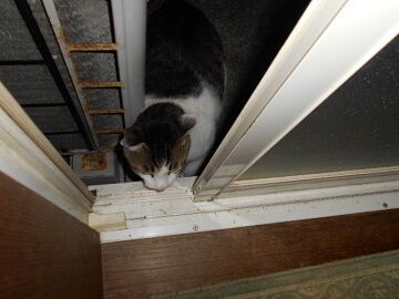 9月27日（5-1）仮