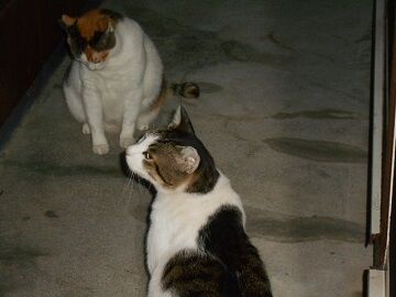 9月30日（20-11）仮