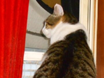 10月18日（11）使用