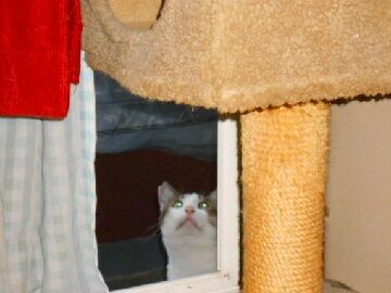 10月18日（6）仮