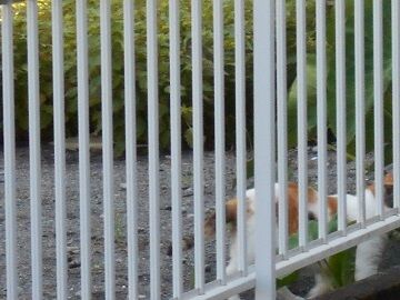 7月31日（28）仮