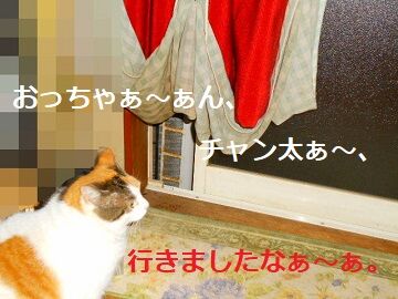 4月16日(58)仮