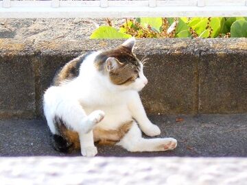 5月12日（19）仮