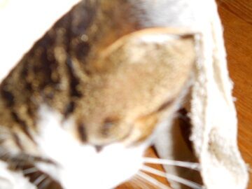 12月2日（22）仮