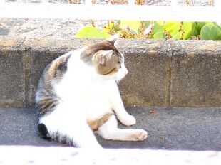 5月12日（21）仮