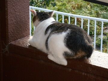 9月8日（6-5）仮