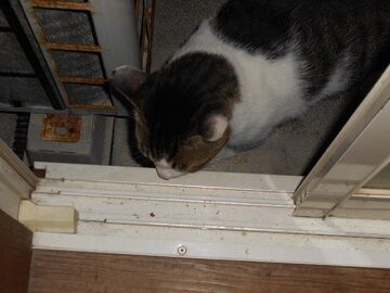 9月21日（5-5）仮