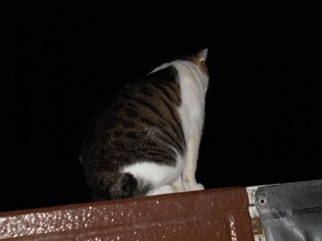 9月26日（20-7）仮