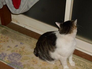 9月23日（22-2）仮