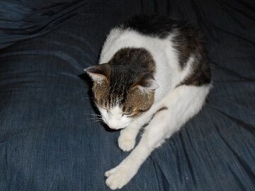 6月25日（20）仮