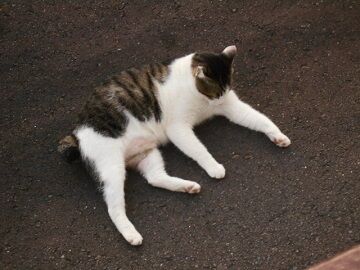 9月19日（5-5）仮