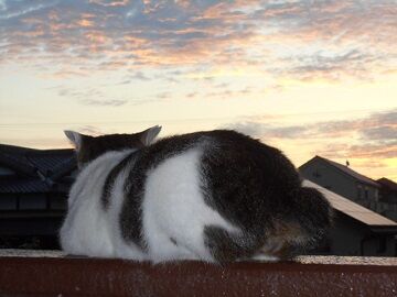 9月30日（17）仮