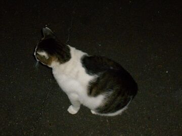 9月28日（22-3）仮