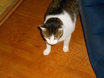 12月2日（39）仮