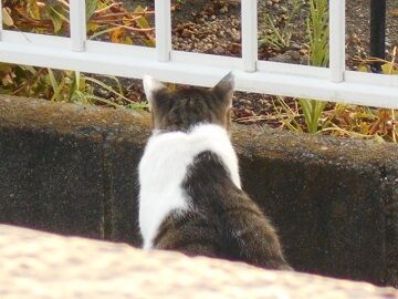 9月30日（22）仮