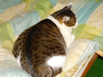 11月30日（3）仮