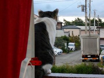 9月25日（6-3）仮