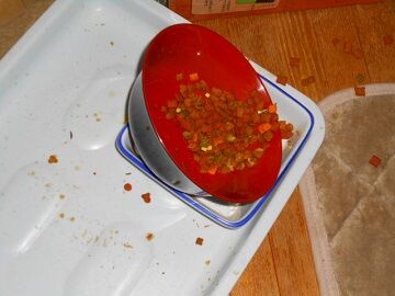 2月16日（35）仮