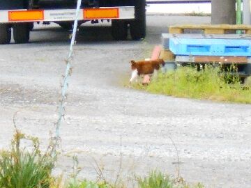 5月18日（101）仮