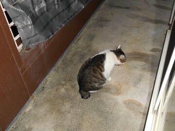 9月12日（22-18）仮