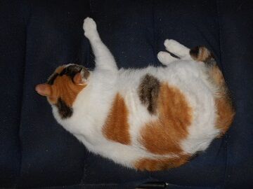 9月25日（22-3）仮