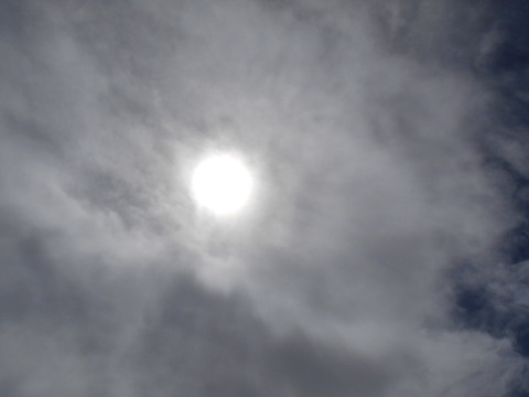 DSCN1474