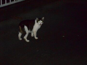 6月21日（32）仮