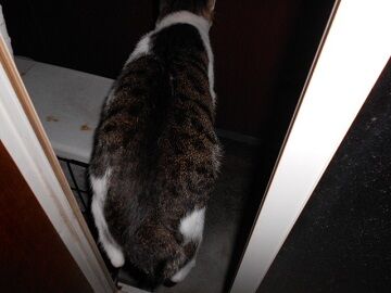 10月12日（0-9）仮