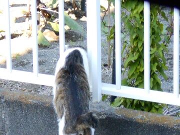 6月13日（26）仮