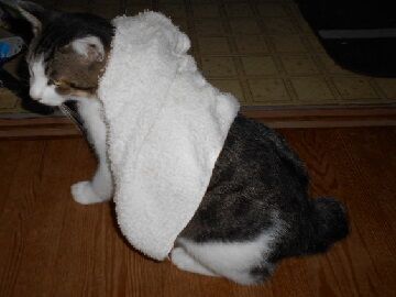 9月11日（25）仮