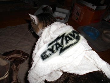 10月7日（21-3）仮