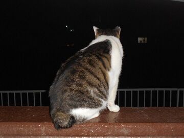 10月1日（18-14）仮