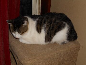 9月24日（5-14）仮