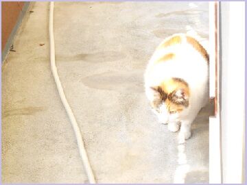 5月23日（40）仮