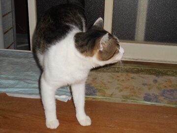 7月31日（59）仮