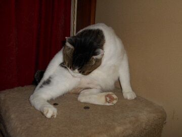 9月28日（23-5）仮