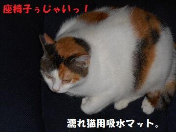 9月26日（6-13）仮