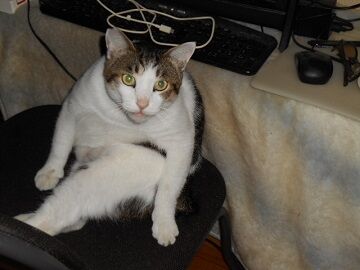 10月1日（7-1）仮