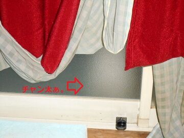 7月21日（16）仮