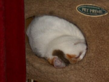 9月28日（11-2）仮