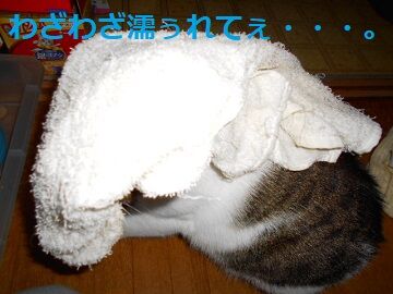 12月23日（5）仮