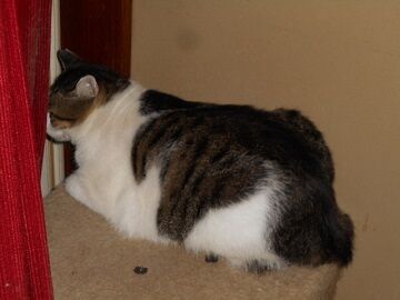 9月26日（7-4）仮