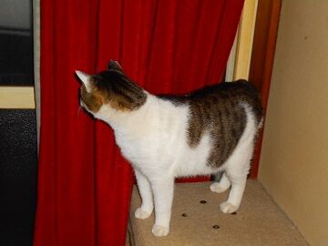 12月17日（25）仮