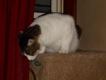 9月27日（19-14）仮