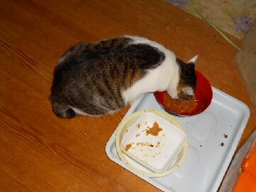 10月25日（1）仮