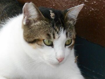 9月11日（8-7）仮