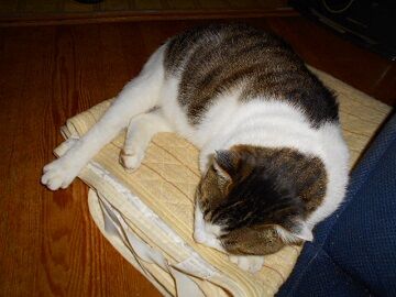 12月6日（18）仮