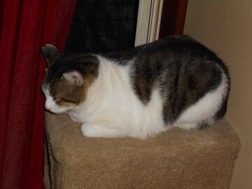 9月27日（23-4）仮